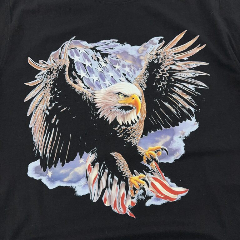 تیشرت اورجینال H&M رنگ مشکی چاپ عقاب سایز XL